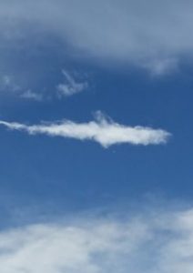 shark-cloud